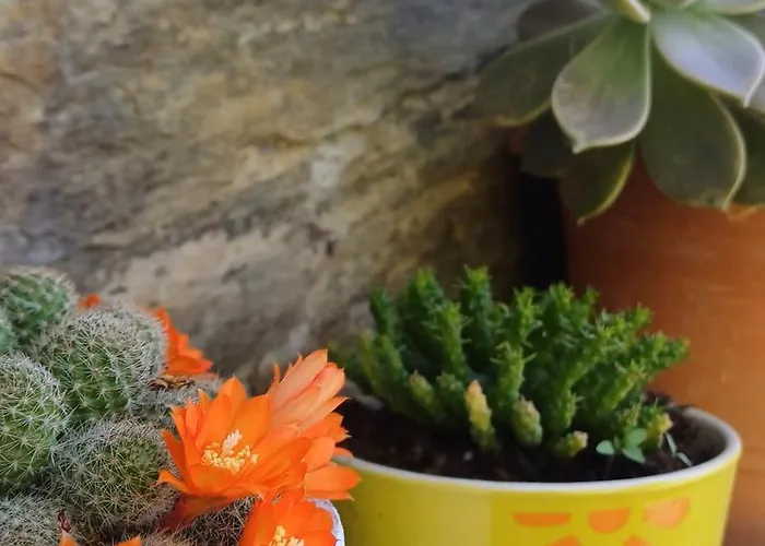 Apartment Rizes House Ii *